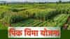 Crop Insurance: पीक विमा योजनेबाबत मोठी अपडेट! अर्ज करण्याची मुदत वाढवली, शेतकर्‍यांना सरकारचा दिलासा