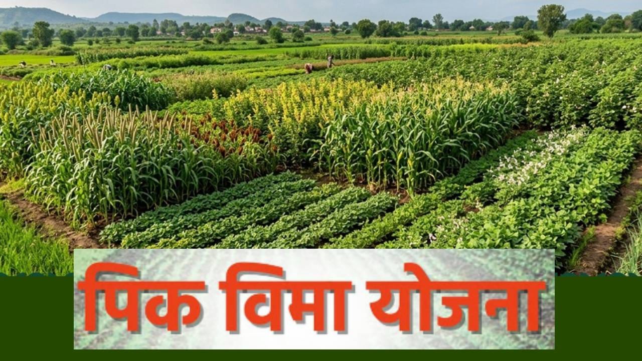 Crop Insurance: पीक विमा योजनेबाबत मोठी अपडेट! अर्ज करण्याची मुदत वाढवली, नवीन तारीख काय? Crop Insurance: पीक विमा योजनेबाबत मोठी अपडेट! अर्ज करण्याची मुदत वाढवली, नवीन तारीख काय?