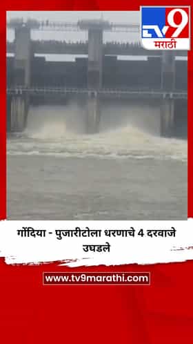 गोंदिया - पुजारीटोला धरणाचे 4 दरवाजे उघडले