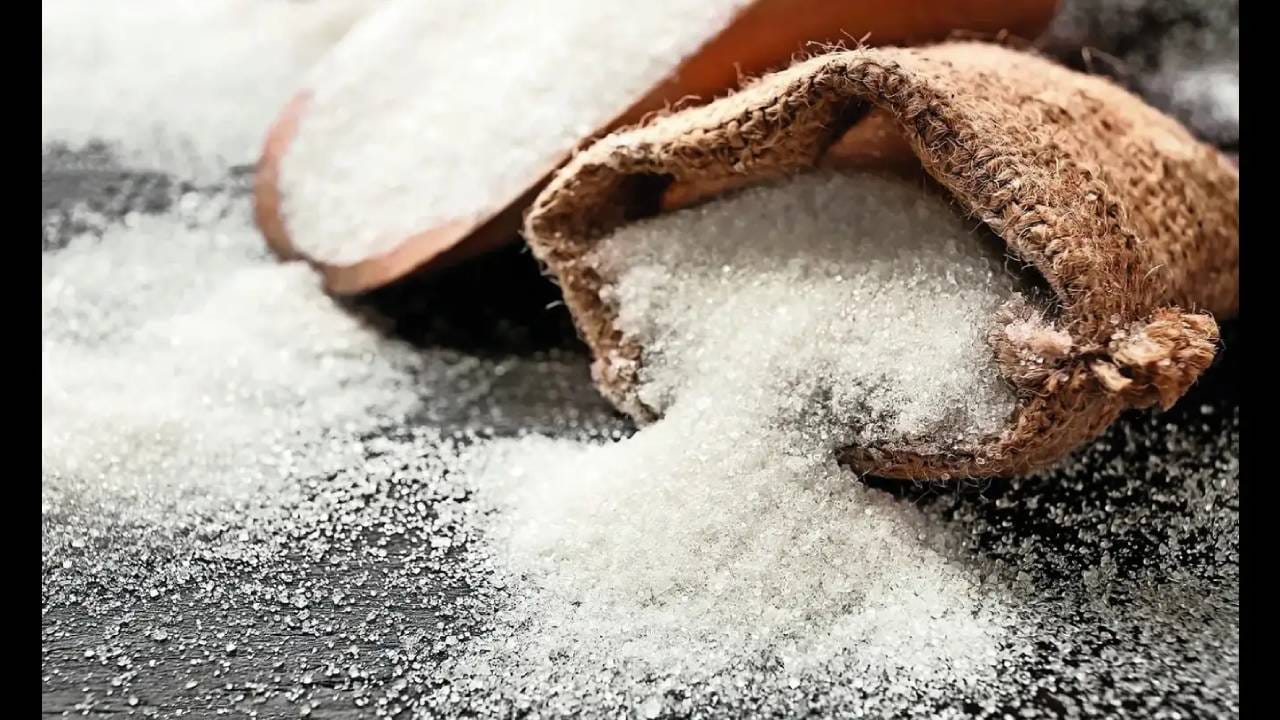 E20 Petrol: पेट्रोलमुळे साखर 'कडू'? ग्राहकांना दरवाढीचे चटके, ऊसापासून इथेनॉल निर्मितीवर बंदी घालणार? E20 Petrol: पेट्रोलमुळे साखर 'कडू'? ग्राहकांना दरवाढीचे चटके, ऊसापासून इथेनॉल निर्मितीवर बंदी घालणार?