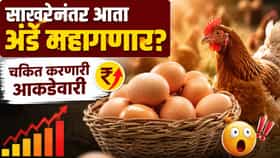 Eggs Price Hike : साखरेनंतर आता अंडे महागणार, इथेनॉलमुळे सामान्यांचे हाल; वाचा खिशाला किती झळ बसणार?