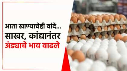 खाण्याचेही वांदे... साखर, कांद्यानंतर एका झटक्यात अंड्याचे भाव वाढले.