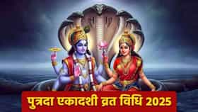 श्रावणातील पुत्रदा एकादशीला चुकूनही करू नका 'या' 5 गोष्टी, भात खाण्यापासून तुळस तोडण्यापर्यंत आहे सक्त मनाई