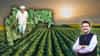 Farmer Loan Waiver: राज्यातील 94 हजार शेतकर्‍यांना दणका; कर्जमाफीच्या यादीतूनच नाव कपात, तुमचं तर नाव नाही ना या यात?