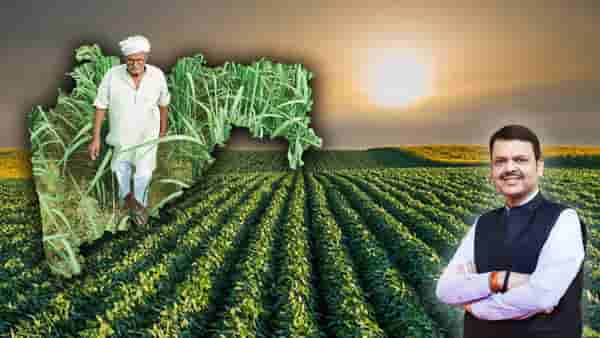Farmer Loan Waiver: राज्यातील 94 हजार शेतकर्यांना दणका; कर्जमाफीच्या यादीतूनच नाव कपात, तुमचं तर नाव नाही ना या यात?