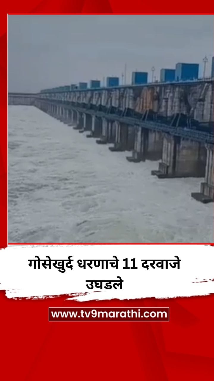गोसेखुर्द धरणाचे 11 दरवाजे उघडले, 49 हजार 405 क्युसेक वेगाने पाण्याचा विसर्ग-1730295