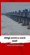 गोसेखुर्द धरणाचे 11 दरवाजे उघडले, 49 हजार 405 क्युसेक वेगाने पाण्याचा विसर्ग