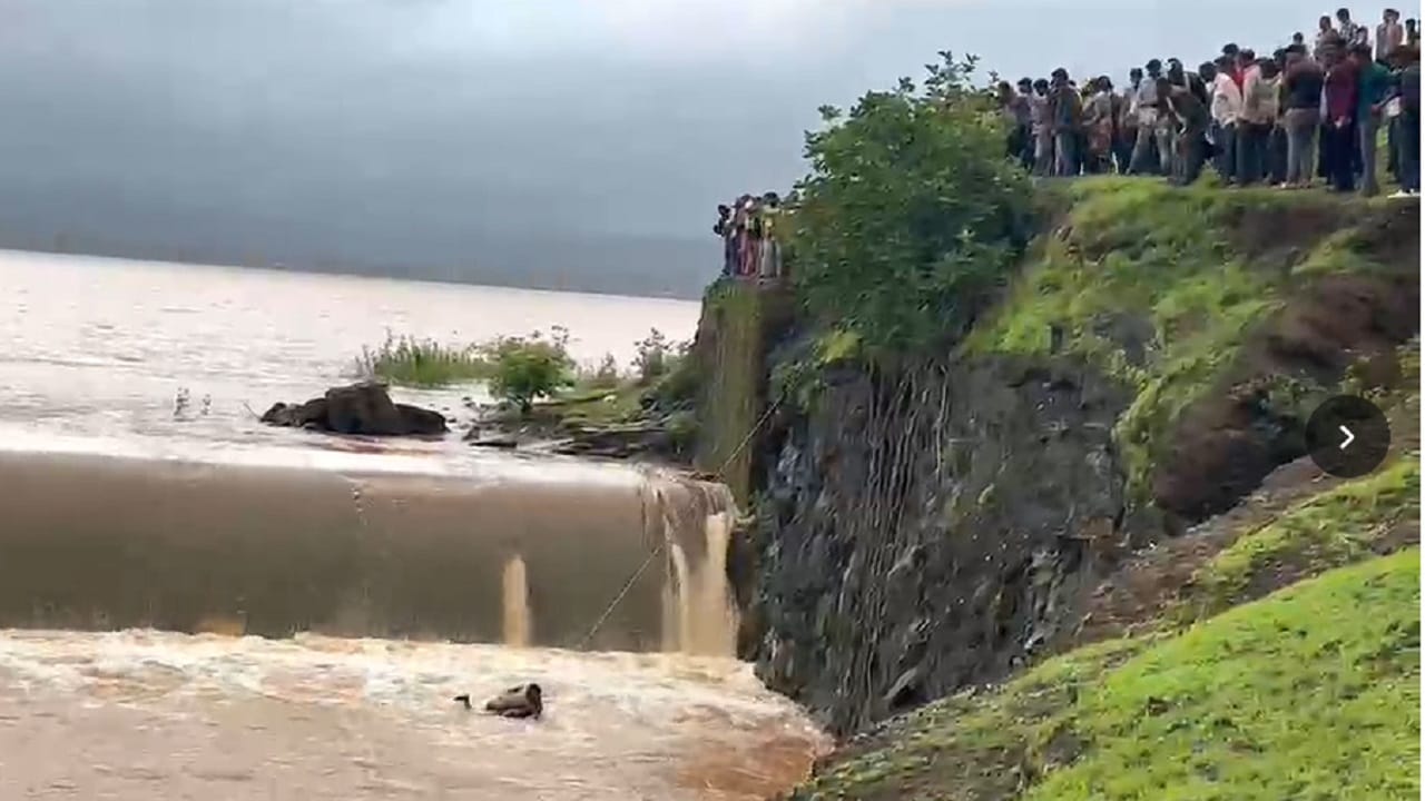 मात्र, पाण्याचा वेग आणि खोलीचा अंदाज न आल्याने ते प्रवाहात अडकून बुडाले. त्यांना वाचवण्यासाठी दुसऱ्या एका तरुणानेही पाण्यात उडी घेतली. तो देखील खोल पाण्यात अडकला. 