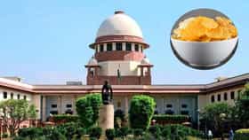 ले’स चिप्सचा बटाटा पोहोचला कोर्टात! नेमकं प्रकरण काय?.