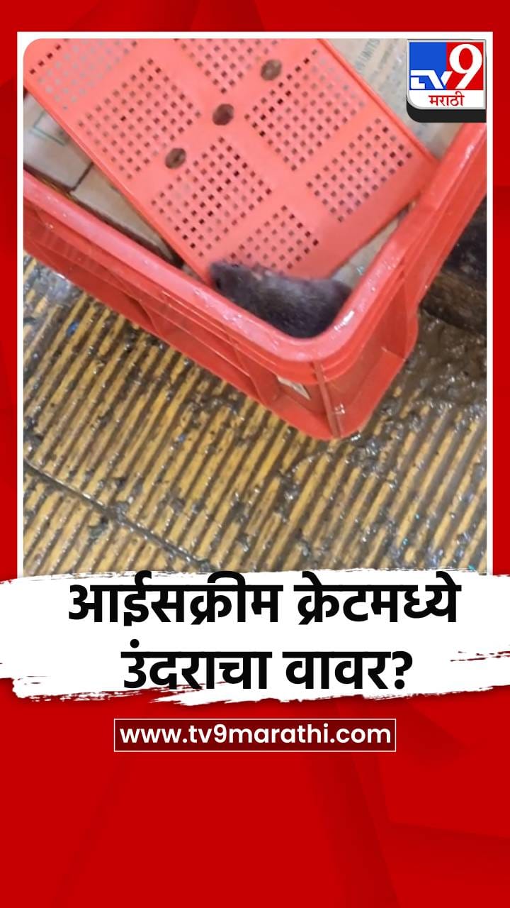 आईसक्रीम क्रेटमध्ये उंदराचा वावर?-1735280