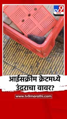 आईसक्रीम क्रेटमध्ये उंदराचा वावर?-1735280