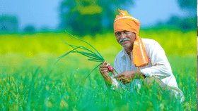 खुशखबर! कर्जमाफीची दुसरी यादी जाहीर, किती शेतकऱ्यांना लाभ, किती कोटी थेट खात्यावर पडणार?