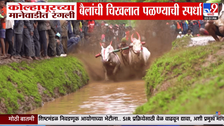 मानेवाडीच्या मैदानावर रंगली भन्नाट बैलगाडा शर्यत; गावातील आठणवणींना उजाळा देणारा जबरदस्त व्हिडीओ मानेवाडीच्या मैदानावर रंगली भन्नाट बैलगाडा शर्यत; गावातील आठणवणींना उजाळा देणारा जबरदस्त व्हिडीओ