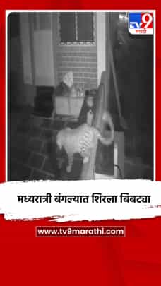 मध्यरात्री बंगल्यात शिरला बिबट्या-1726640