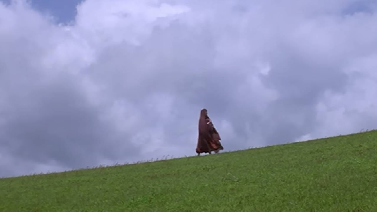 या गाण्यात माधुरी दीक्षितने साकारलेल्या व्यक्तिरेखेच्या आयुष्यातील वेदना, असहायता आणि संघर्ष अत्यंत प्रभावीपणे दाखवण्यात आला होता. त्यामुळे हे गाणं केवळ एक गीत न राहता एका मजबूर स्त्रीच्या मनातील भावना व्यक्त करणारं ठरलं.