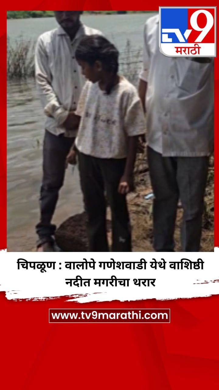 चिपळूण : वालोपे गणेशवाडी येथे वाशिष्ठी नदीत मगरीचा थरार-1739714