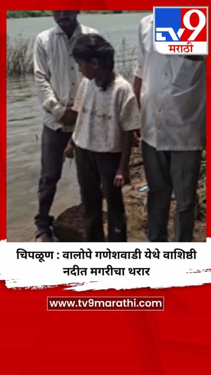 चिपळूण : वालोपे गणेशवाडी येथे वाशिष्ठी नदीत मगरीचा थरार-1739714