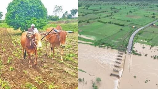 शेतकऱ्यांसाठी आनंदाची बातमी! ऑगस्ट महिन्यातील पावसाचा मोठा अंदाज, मराठवाडा आणि विदर्भात..