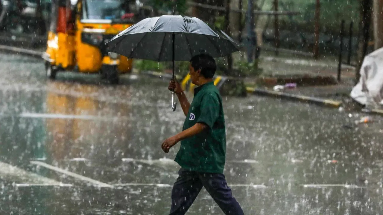 IMD Rain Alert : घाटमाथ्यावर धो-धो कोसळणार... महाराष्ट्रासह या राज्यांना मुसळधार पावसाचा इशारा IMD Rain Alert : घाटमाथ्यावर धो-धो कोसळणार... महाराष्ट्रासह या राज्यांना मुसळधार पावसाचा इशारा