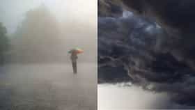 Maharashtra Weather Update : विदर्भ, मराठवाड्यात कोसळणार धो धो पाऊस, मोठा इशारा, मुंबईत..