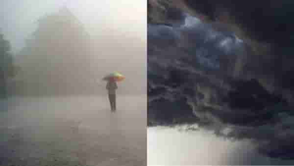 Maharashtra Weather Update : विदर्भ, मराठवाड्यात कोसळणार धो धो पाऊस, मोठा इशारा, मुंबईत..