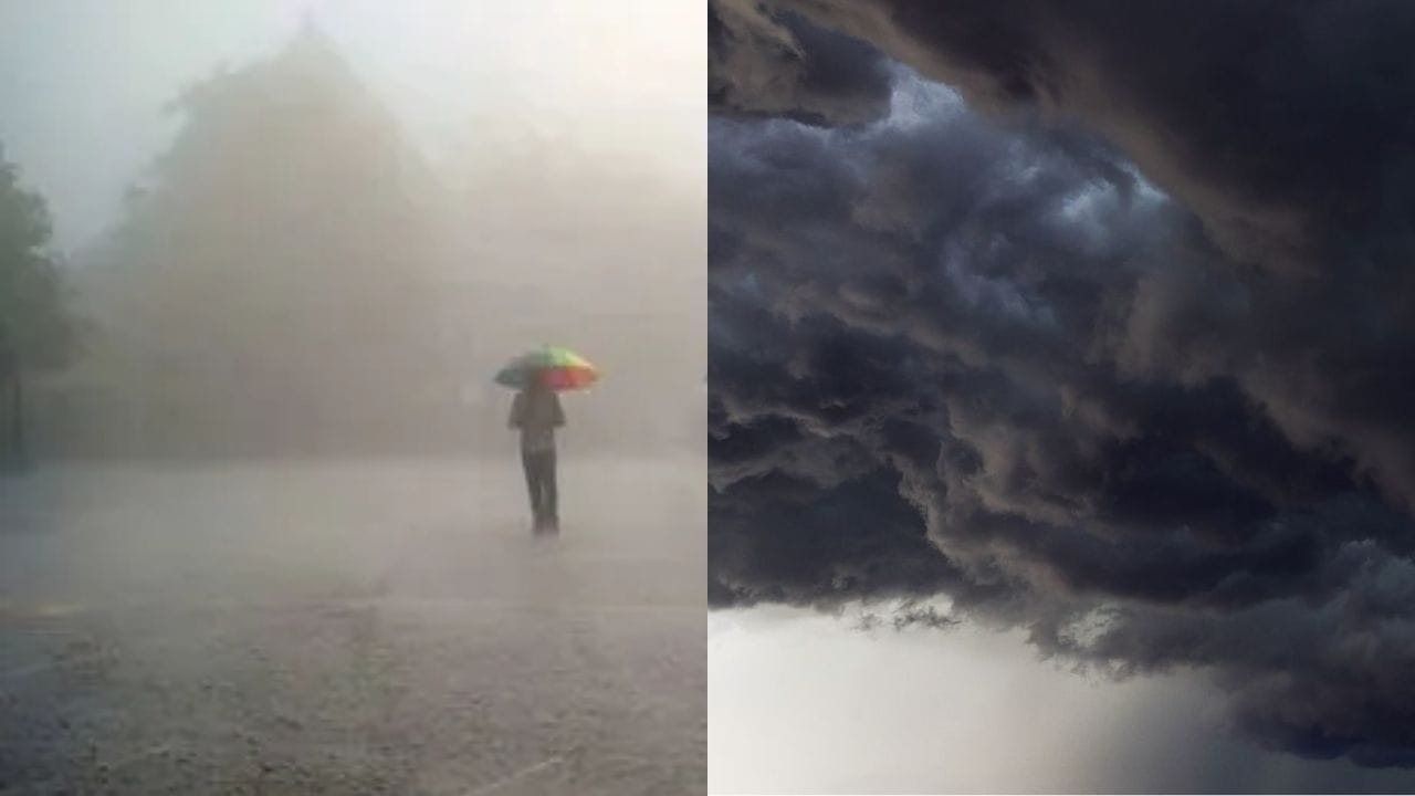 Maharashtra Weather Update : विदर्भ, मराठवाड्यात कोसळणार धो धो पाऊस, मोठा इशारा, मुंबईत.. Maharashtra Weather Update : विदर्भ, मराठवाड्यात कोसळणार धो धो पाऊस, मोठा इशारा, मुंबईत..