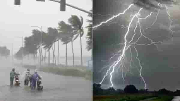 Maharashtra Weather Update : आजही तो कोसळणार.. IMD कडून मोठा इशारा, विदर्भात धोका अधिक, 24 तासात..