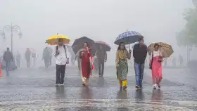 IMD Rain Alert : हवामान विभागाचा नवा अंदाज आला, कोकण, मराठवाडा, विदर्भ... कोणत्या भागात कसे हवामान?