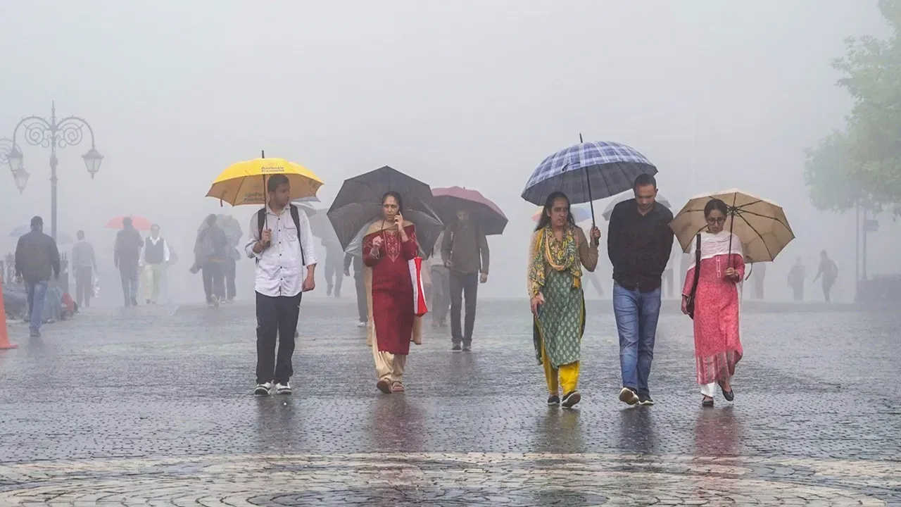 IMD Rain Alert : हवामान विभागाचा नवा अंदाज आला, कोकण, मराठवाडा, विदर्भ... कोणत्या भागात कसे हवामान? IMD Rain Alert : हवामान विभागाचा नवा अंदाज आला, कोकण, मराठवाडा, विदर्भ... कोणत्या भागात कसे हवामान?