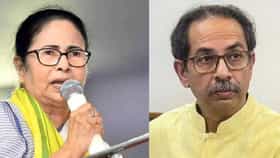 ठाकरेंना जे जमलं नाही ते आता ममता बॅनर्जी करून दाखवणार? बंडखोर खासदारांच्या अडचणी वाढल्या, तृणमूलच्या गोटातून सर्वात मोठी बातमी