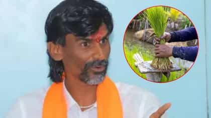 आंदोलकांची गैरसोय होऊ नये म्हणून शेतकऱ्याने शेतातलं पिकच काढून टाकलं.