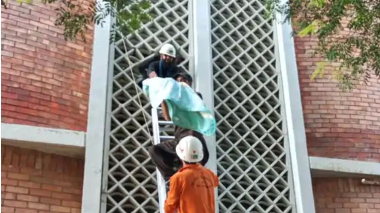 बचाव पथकाच्या अधिकाऱ्यांनी सांगितले की, नर्सरीमधील एअर कंडिशनरच्या कॉम्प्रेसरमध्ये स्फोट झाला. यामुळे आग लागली आणि काही कळताच सर्वत्र पसरली.