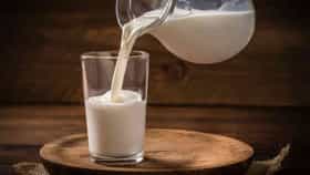 Milk Price Hike : मुंबईत प्रति लिटर दूधाचा दर पोहोचला पेट्रोलच्या पातळीला, उरला फक्त 9 ते 10 रुपयांचा फरक, सर्वसामान्यांनी कसं जगायचं?