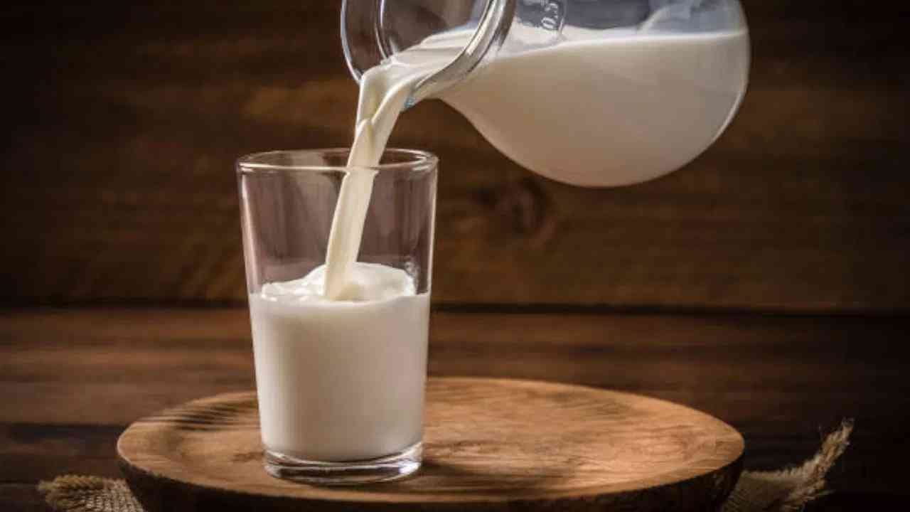 Milk Price Hike : मुंबईत प्रति लिटर दूधाचा दर पोहोचला पेट्रोलच्या पातळीला, उरला फक्त 9 ते 10 रुपयांचा फरक, सर्वसामान्यांनी कसं जगायचं? Milk Price Hike : मुंबईत प्रति लिटर दूधाचा दर पोहोचला पेट्रोलच्या पातळीला, उरला फक्त 9 ते 10 रुपयांचा फरक, सर्वसामान्यांनी कसं जगायचं?