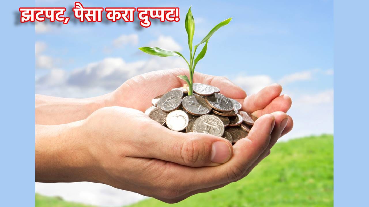 झटपट, पैसा करा दुप्पट! जाणून घ्या हे बचतीचे स्मार्ट मार्ग, कमाई सुरूच राहणार झटपट, पैसा करा दुप्पट! जाणून घ्या हे बचतीचे स्मार्ट मार्ग, कमाई सुरूच राहणार