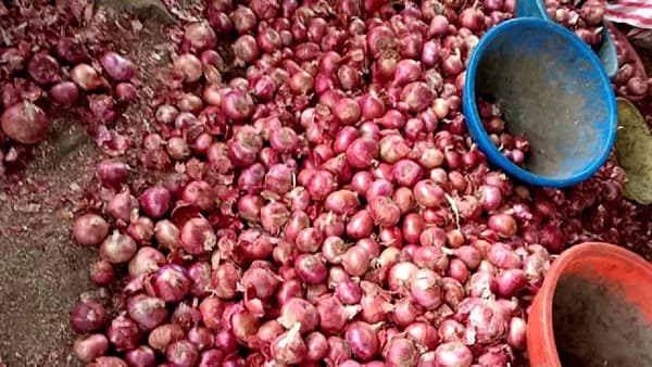 Mumbai Onion Price Hike : कांद्याने मुंबईकरांना रडवलं... कांदा महागला, किचनचं बजेट कोलमडलं