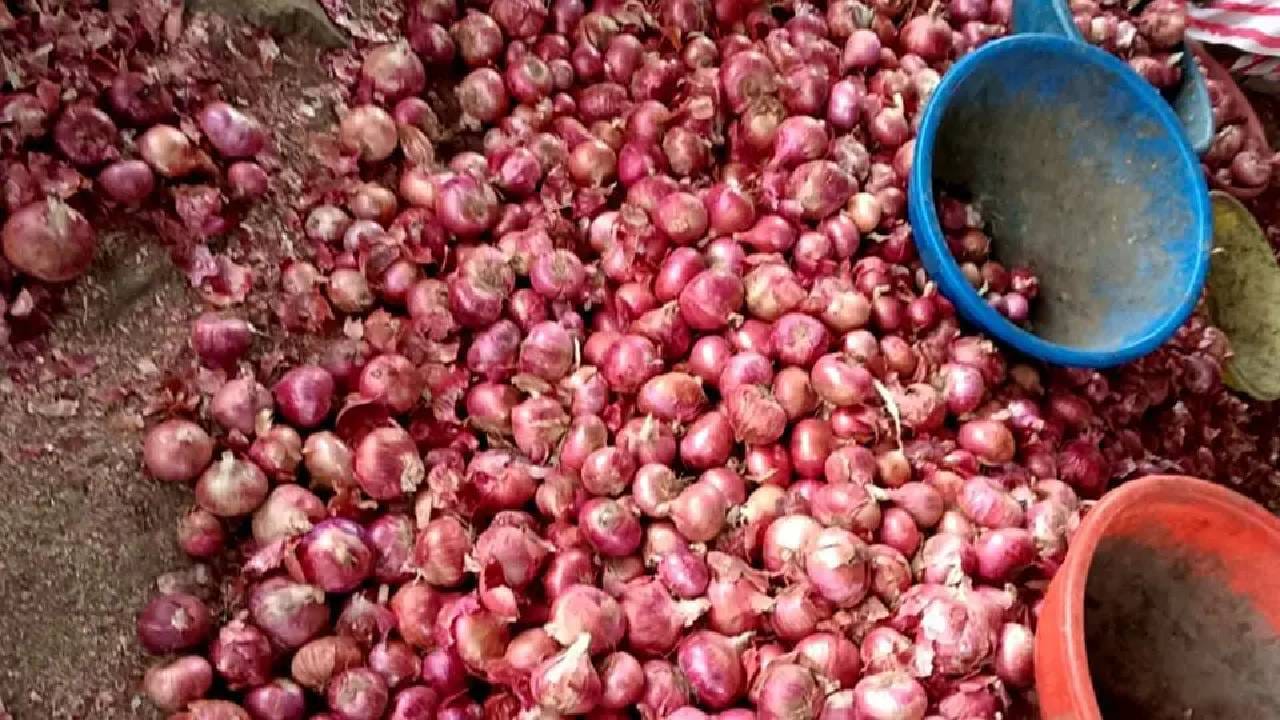 Mumbai Onion Price Hike : कांद्याने मुंबईकरांना रडवलं... कांदा महागला, किचनचं बजेट कोलमडलं Mumbai Onion Price Hike : कांद्याने मुंबईकरांना रडवलं... कांदा महागला, किचनचं बजेट कोलमडलं