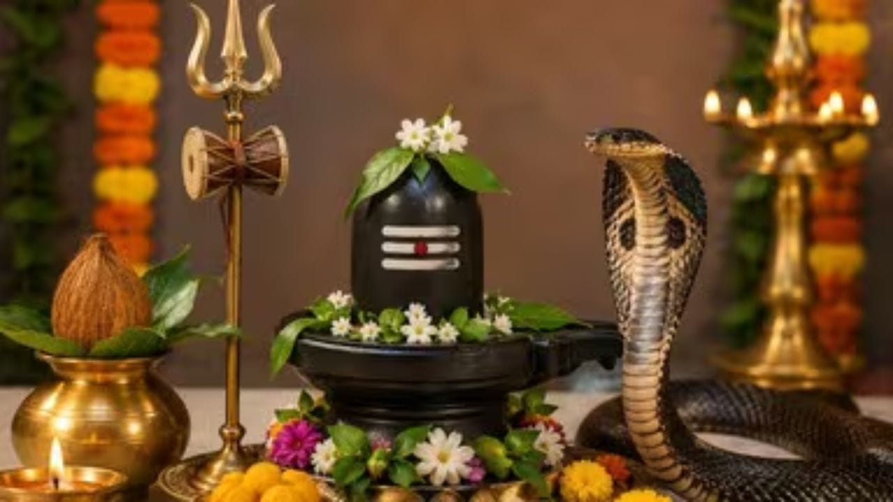 नागपंचमीनिमित्त तुमच्या प्रियजणांना व नातेवाईकांना पाठवा 'या' खास शुभेच्छा नागपंचमीनिमित्त तुमच्या प्रियजणांना व नातेवाईकांना पाठवा 'या' खास शुभेच्छा