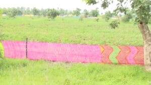 Nagpur Farmer | शेताला साडी नेसवली अन् रानडुकरांना पळवलं! नागपूरच्या शेतकऱ्यांची भन्नाट शक्कल चर्चेत, व्हिडिओ होतोय व्हायरल
