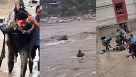खवळलेल्या नदीत म्हशीने वाचवले तरुणाचे प्राण... त्या Video मधून थरार समोर... नेपाळमध्ये बचाव कार्याला वेग