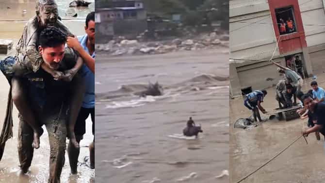 खवळलेल्या नदीत म्हशीने वाचवले तरुणाचे प्राण... त्या Video मधून थरार समोर... नेपाळमध्ये बचाव कार्याला वेग