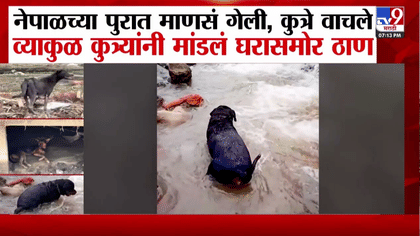 व्याकुळ नजर, आपली माणसे शोधण्याचा प्रयत्न; नेपाळमधील महाप्रलयानंतर...-1746151