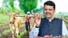 CM Devendra Fadnavis | शेतकऱ्यांसाठी मोठी खुशखबर! कर्जमाफीचा पहिला हप्ता जमा; 6.22 लाख शेतकऱ्यांच्या खात्यात ₹5,029 कोटी