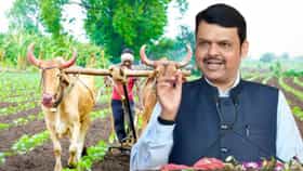 शेतकऱ्यांसाठी मोठी खुशखबर! कर्जमाफीचा पहिला हप्ता जमा; 6.22 लाख....-1728784