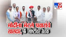 सुप्रिया सुळे 8 खासदारांसह मोदींच्या भेटीला; त्या 15 मिनिटांत काय झालं-1731291