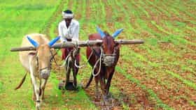 शेतकऱ्यांसाठी मोठी बातमी! सातबाऱ्यावर नाव नाही?; सरकारने घेतला निर्णय-1732824