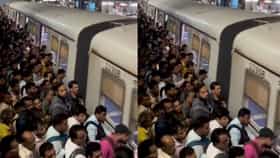 घाटकोपर स्थानकात थरार!  ट्रेनवर चढलेल्या युवकाला OHE चा शॉक; मध्य रेल्वेची वाहतूक विस्कळीत