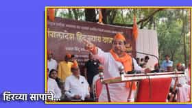 Nitesh Rane: 'आय लव्ह मोहम्मद नाही... ' नितेश राणे यांचं पुन्हा वादग्रस्त वक्तव्य, म्हणाले हिरव्या सापांचे...