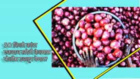 काय सांगता? 50 किलो कांदा खरेदी केल्यास पोलीस उचलून नेणार? नियमाने कुणाला फुटला घाम