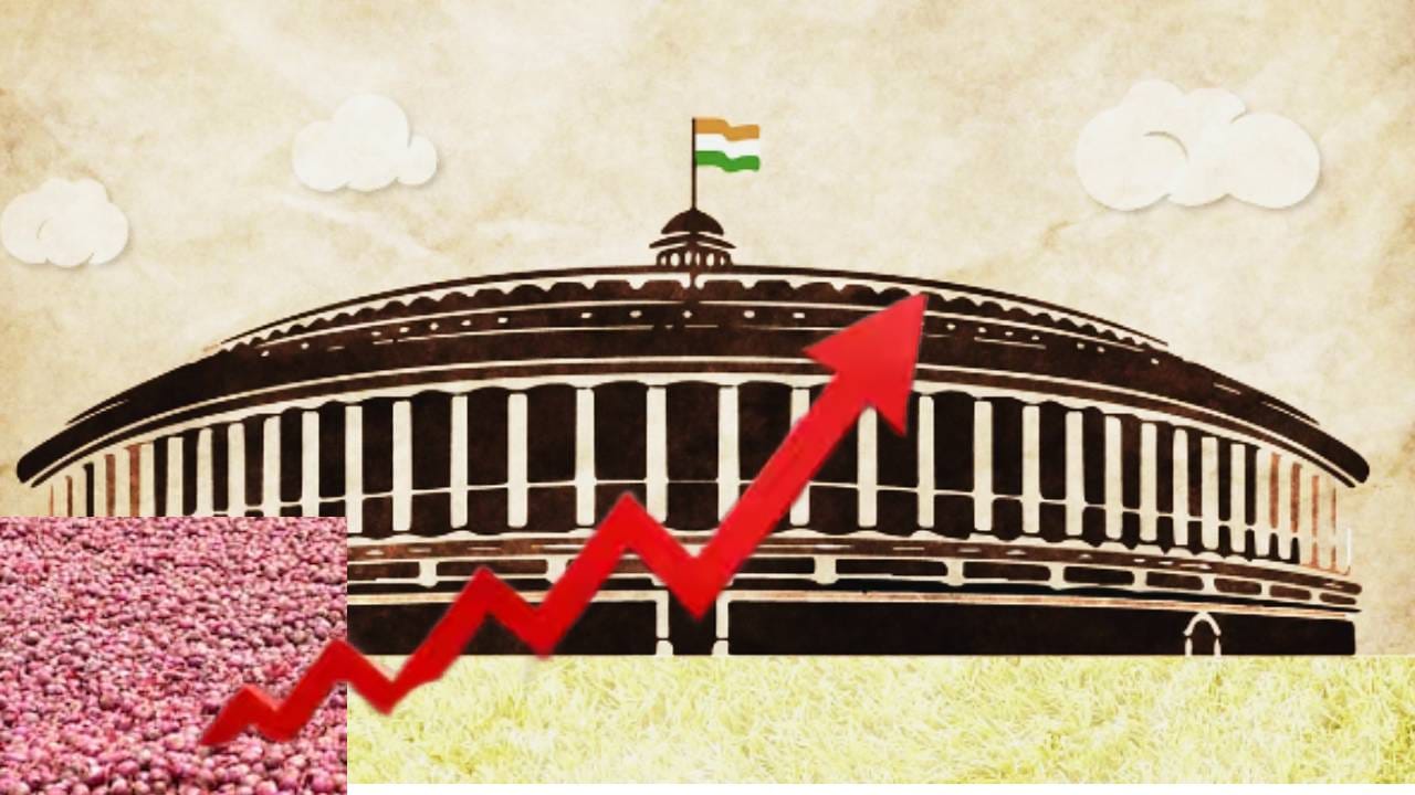 कांद्याने इतक्या वेळा पाडले सरकार, राजकारणाला किंमतींमुळे कलाटणी, कुणासाठी खतरे की घंटी? कांद्याने इतक्या वेळा पाडले सरकार, राजकारणाला किंमतींमुळे कलाटणी, कुणासाठी खतरे की घंटी?
